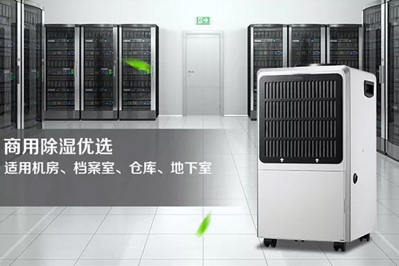 蕨菜烘干除濕機 無煙烘干品質好