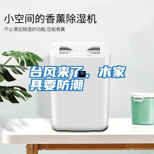 臺(tái)風(fēng)來(lái)了，木家具要防潮