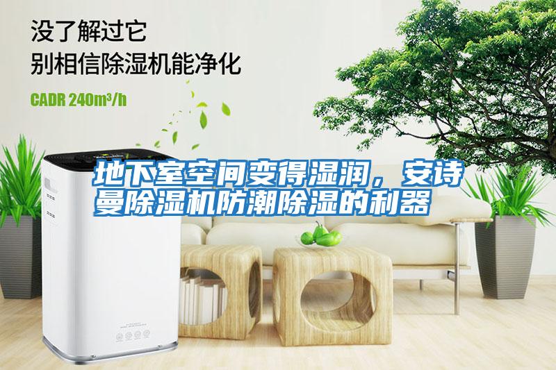 地下室空間變得濕潤，安詩曼除濕機防潮除濕的利器