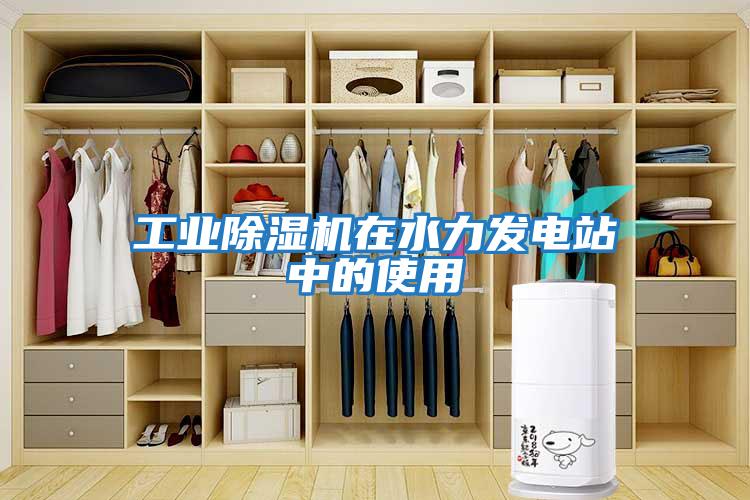 工業除濕機在水力發電站中的使用