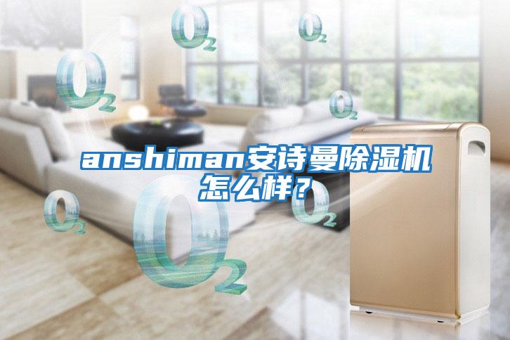 anshiman安詩曼除濕機怎么樣？