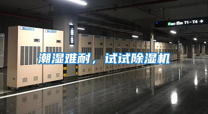 潮濕難耐,試試除濕機