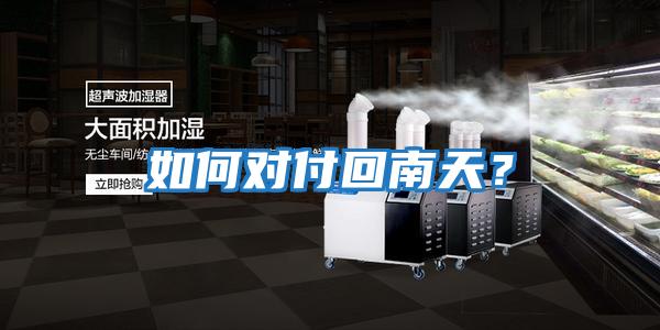 如何對(duì)付回南天？