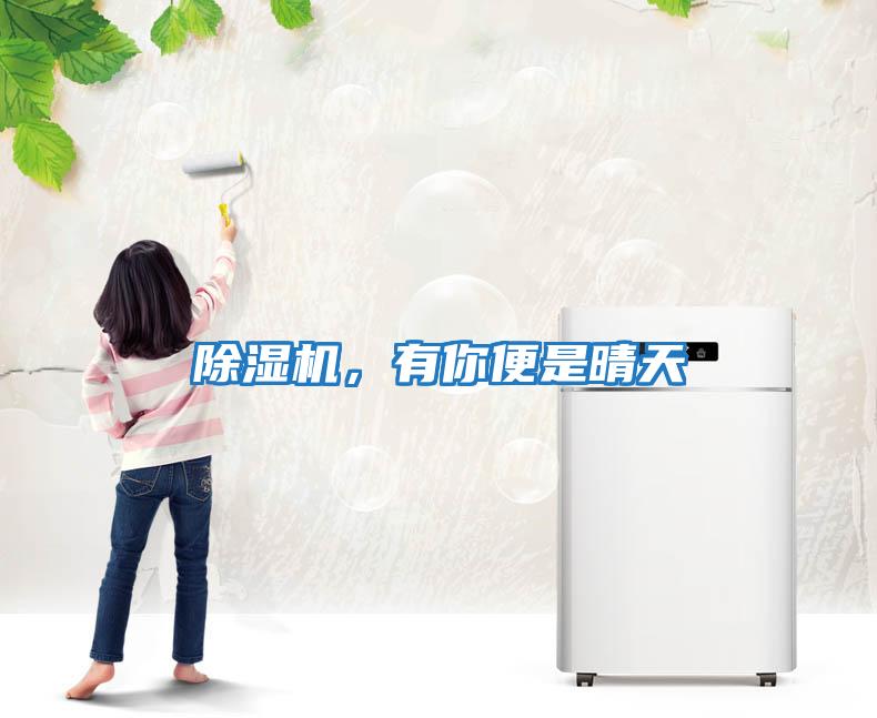 除濕機，有你便是晴天