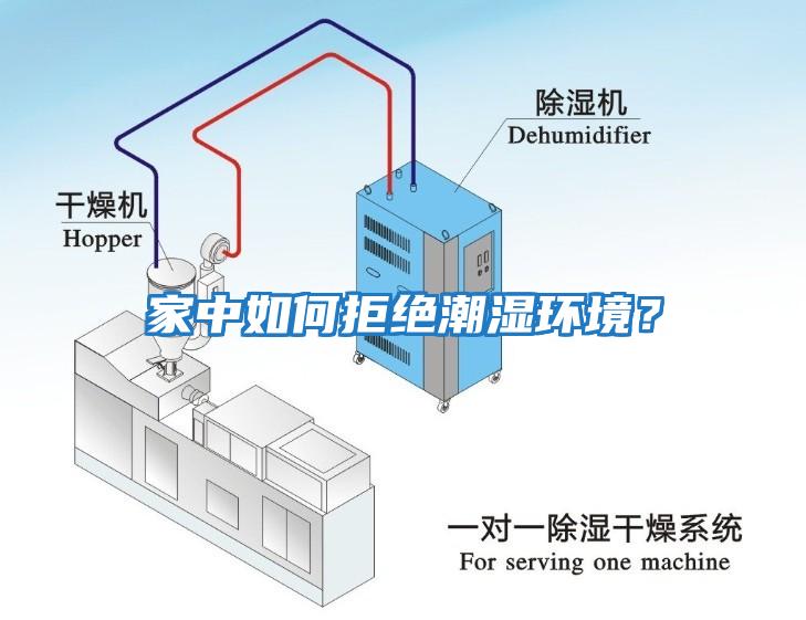 家中如何拒絕潮濕環境？
