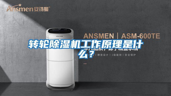 轉輪除濕機工作原理是什么？