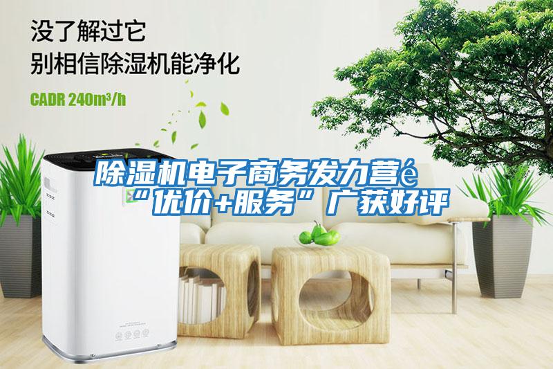 除濕機電子商務發力營銷“優價+服務”廣獲好評