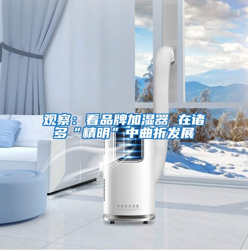 觀察：看品牌加濕器 在諸多“精明”中曲折發展