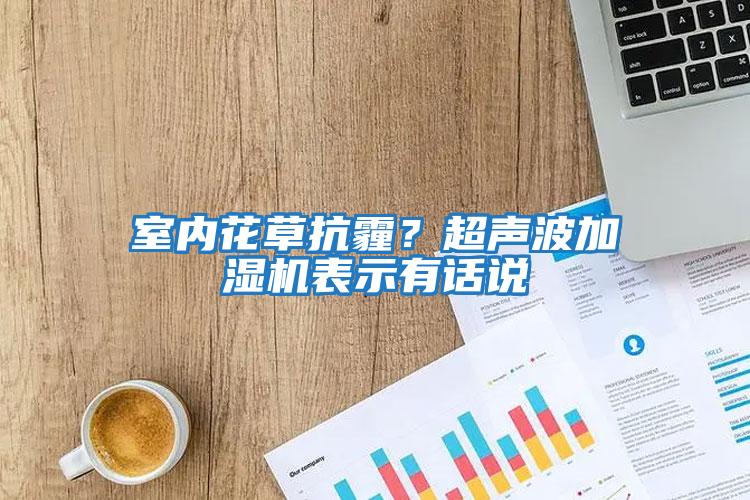 室內花草抗霾？超聲波加濕機表示有話說