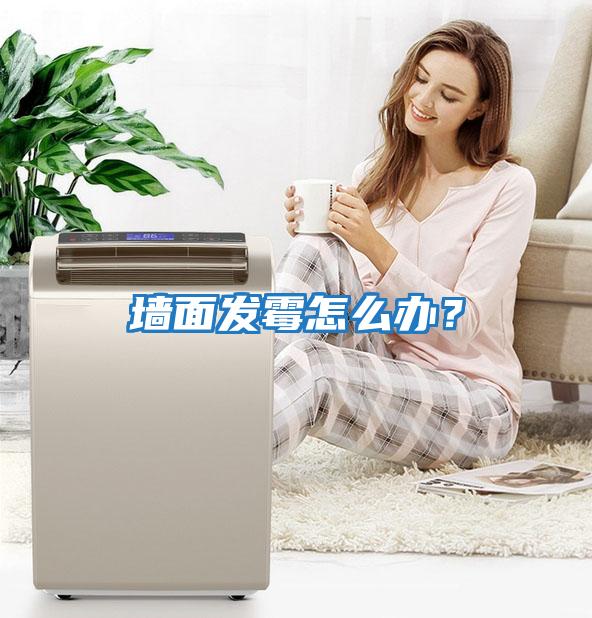 墻面發霉怎么辦？