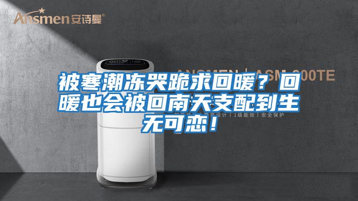 被寒潮凍哭跪求回暖？回暖也會被回南天支配到生無可戀！
