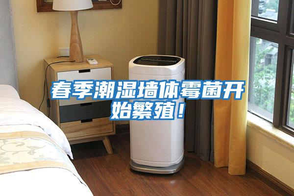 春季潮濕墻體霉菌開始繁殖！