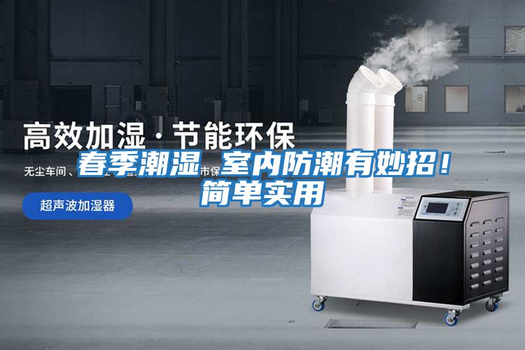 春季潮濕 室內防潮有妙招!簡單實用