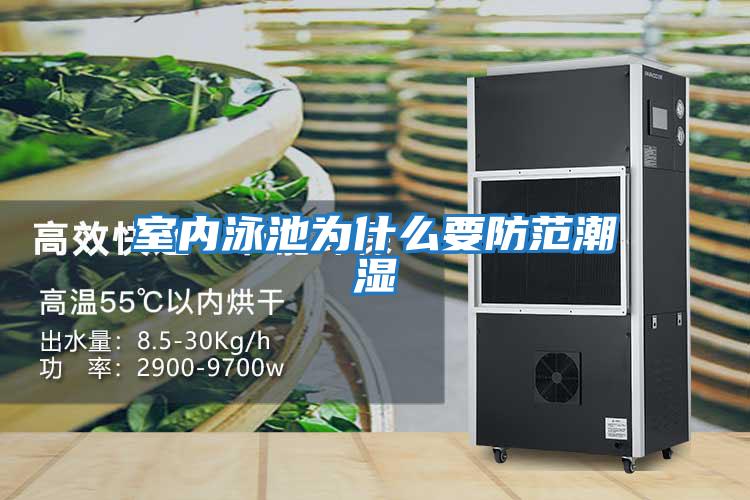 室內泳池為什么要防范潮濕