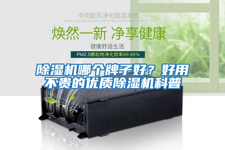 除濕機(jī)哪個(gè)牌子好?好用不貴的優(yōu)質(zhì)除濕機(jī)科普