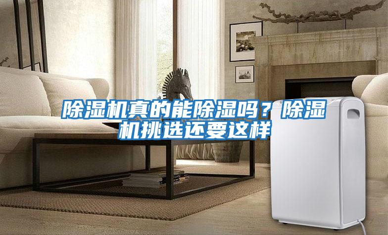 除濕機真的能除濕嗎？除濕機挑選還要這樣