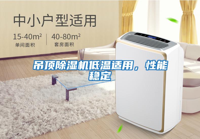 吊頂除濕機(jī)低溫適用，性能穩(wěn)定