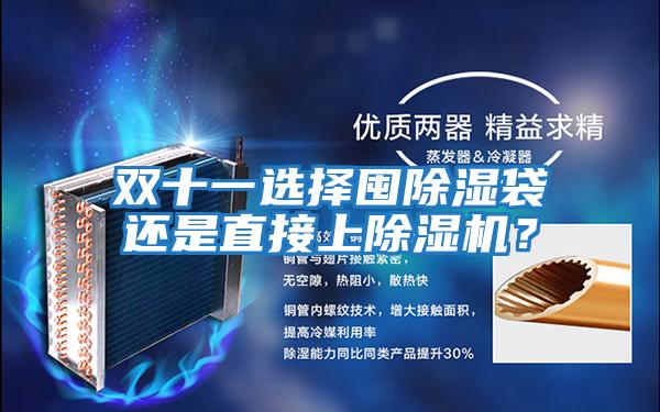 雙十一選擇囤除濕袋還是直接上除濕機？
