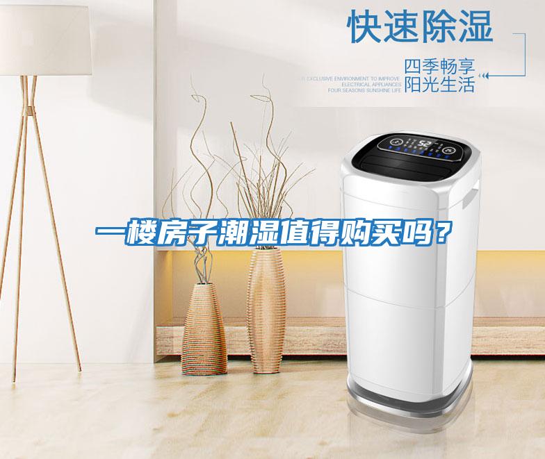 一樓房子潮濕值得購買嗎？