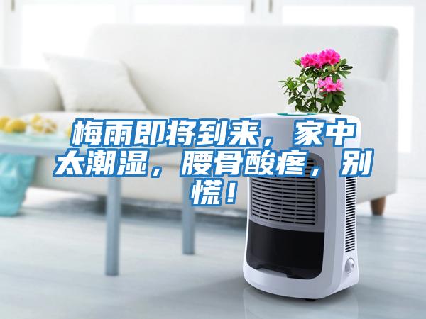 梅雨即將到來,家中太潮濕,腰骨酸疼,別慌!