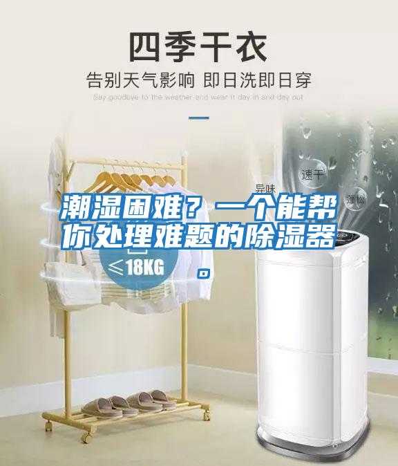 潮濕困難？一個能幫你處理難題的除濕器。