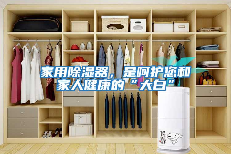 家用除濕器，是呵護您和家人健康的“大白”
