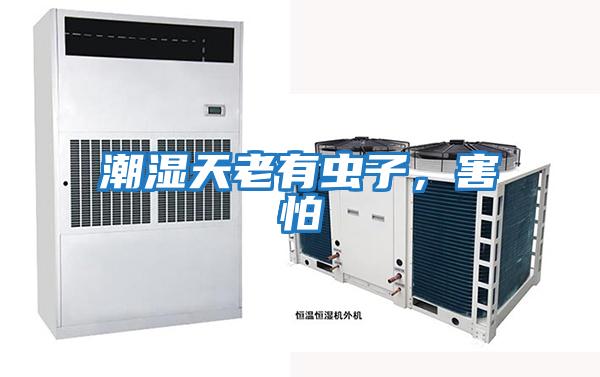 潮濕天老有蟲子,害怕
