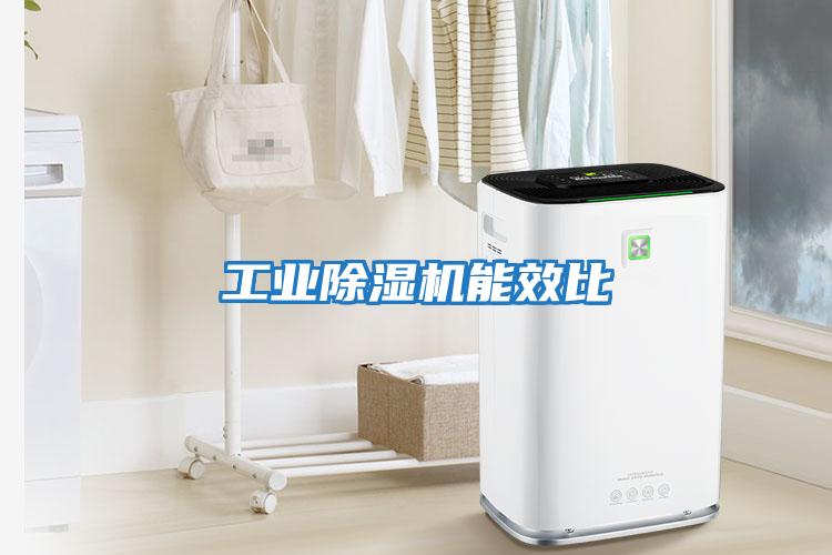 工業除濕機能效比
