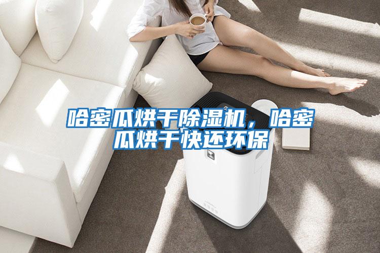 哈密瓜烘干除濕機，哈密瓜烘干快還環保