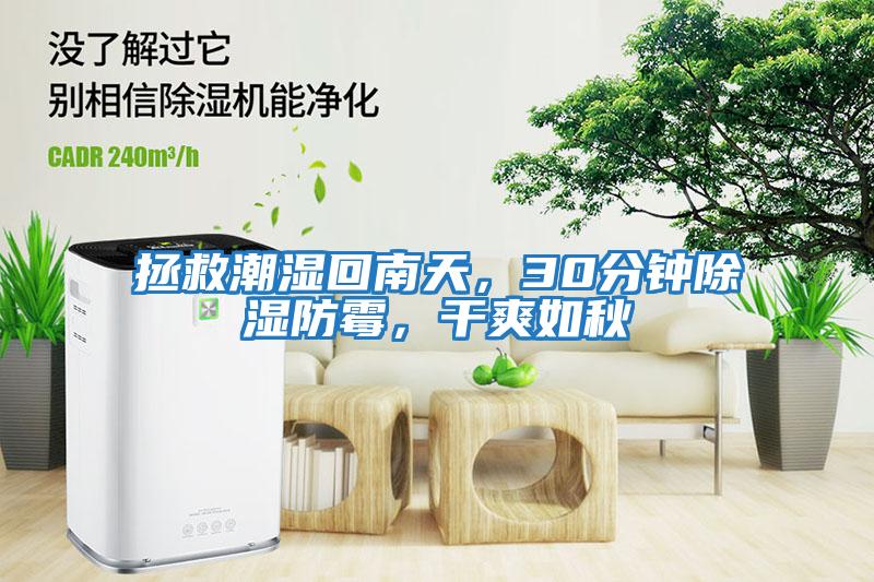 拯救潮濕回南天，30分鐘除濕防霉，干爽如秋
