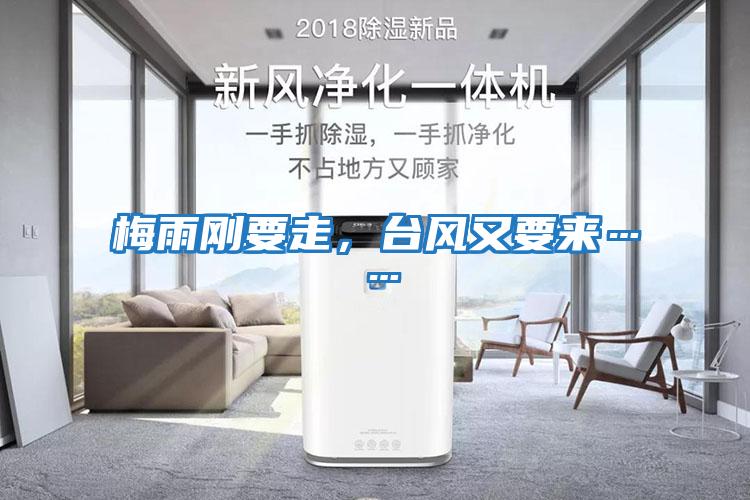 梅雨剛要走,臺風(fēng)又要來……