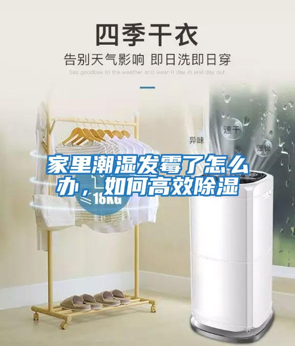 家里潮濕發霉了怎么辦，如何高效除濕