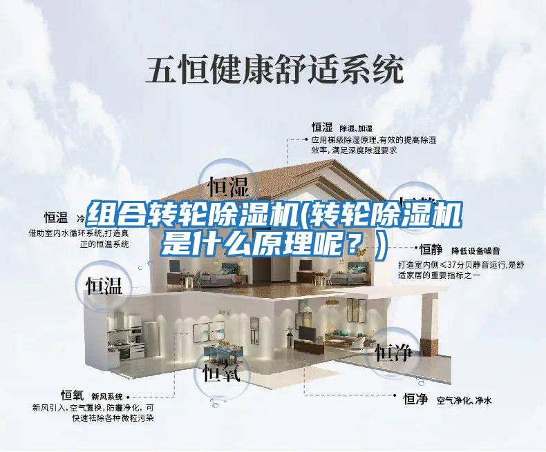 組合轉輪除濕機(轉輪除濕機是什么原理呢？)