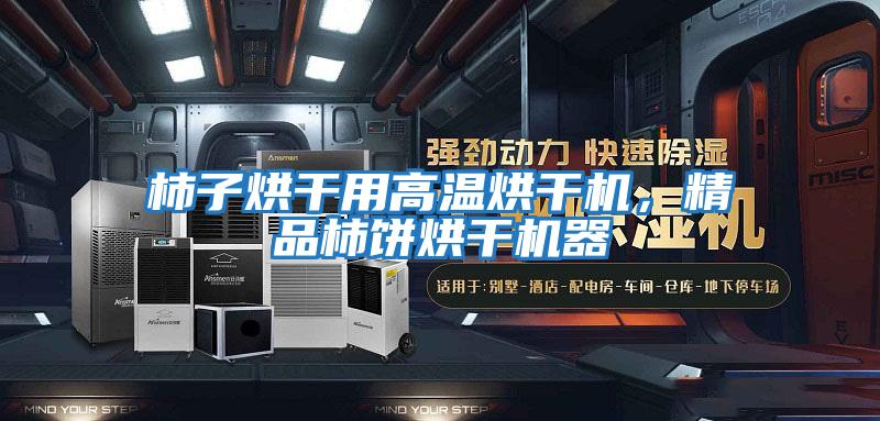 柿子烘干用高溫烘干機，精品柿餅烘干機器
