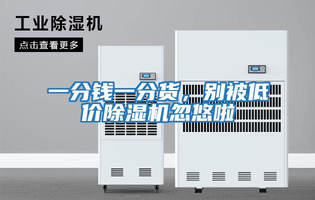 一分錢一分貨,別被低價除濕機忽悠啦