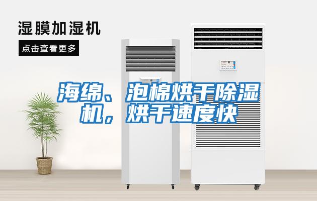 海綿、泡棉烘干除濕機(jī)，烘干速度快