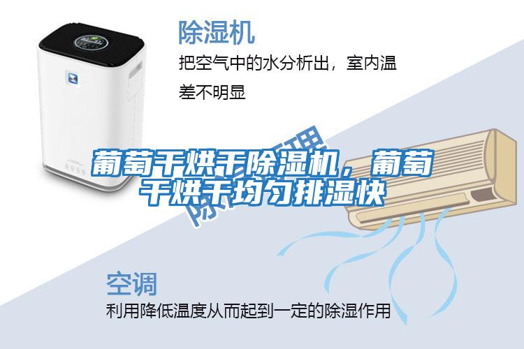葡萄干烘干除濕機，葡萄干烘干均勻排濕快