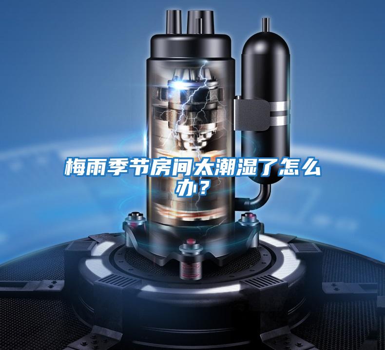 梅雨季節房間太潮濕了怎么辦？