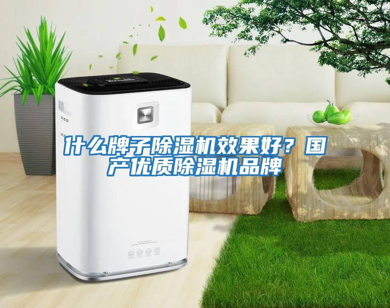 什么牌子除濕機效果好？國產優質除濕機品牌