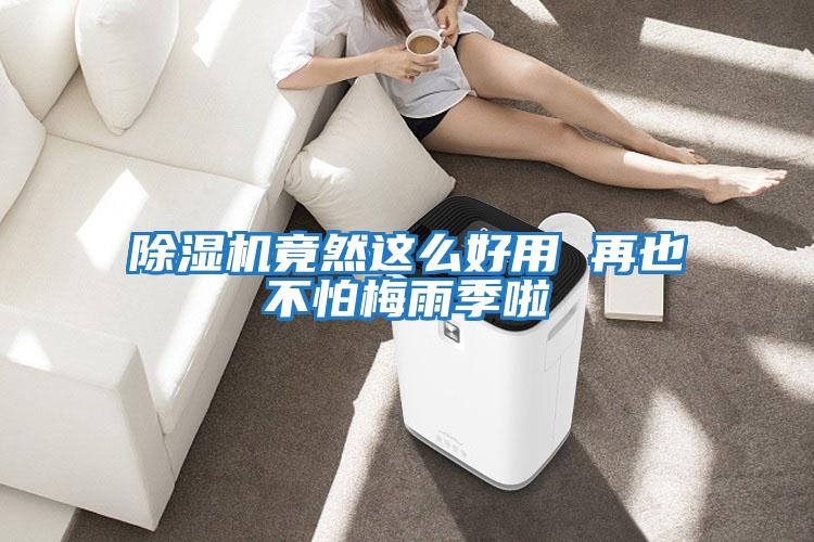 除濕機竟然這么好用 再也不怕梅雨季啦