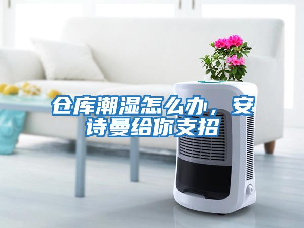 倉庫潮濕怎么辦，安詩曼給你支招
