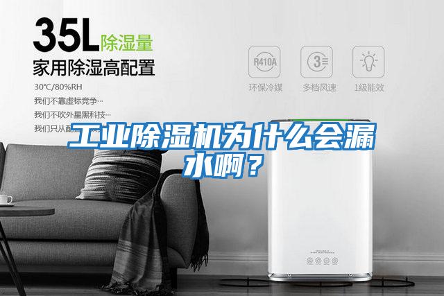 工業(yè)除濕機(jī)為什么會漏水啊？