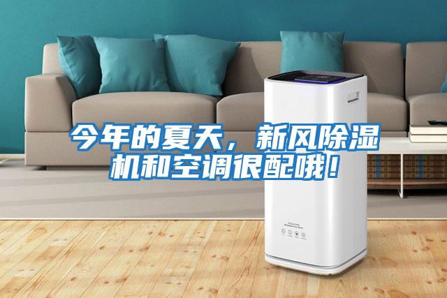 今年的夏天,新風除濕機和空調很配哦!