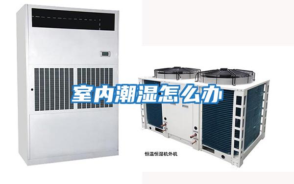 室內潮濕怎么辦
