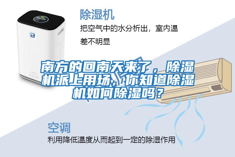 南方的回南天來了，除濕機派上用場，你知道除濕機如何除濕嗎？