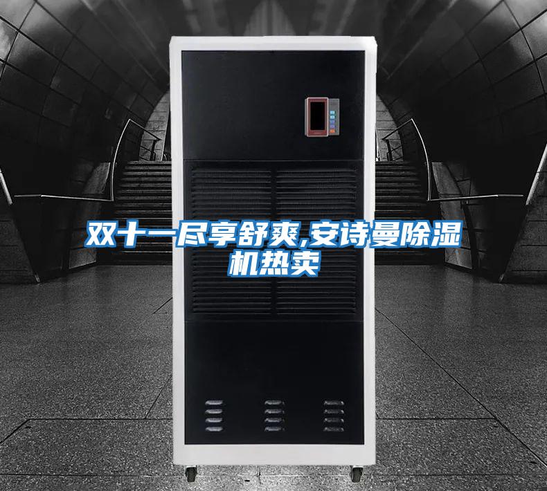 雙十一盡享舒爽,安詩(shī)曼除濕機(jī)熱賣(mài)