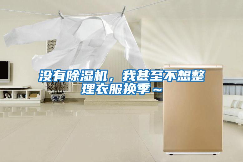 沒有除濕機，我甚至不想整理衣服換季～