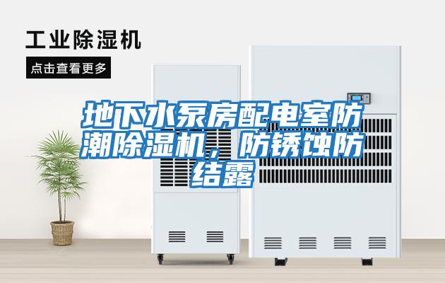 地下水泵房配電室防潮除濕機，防銹蝕防結露