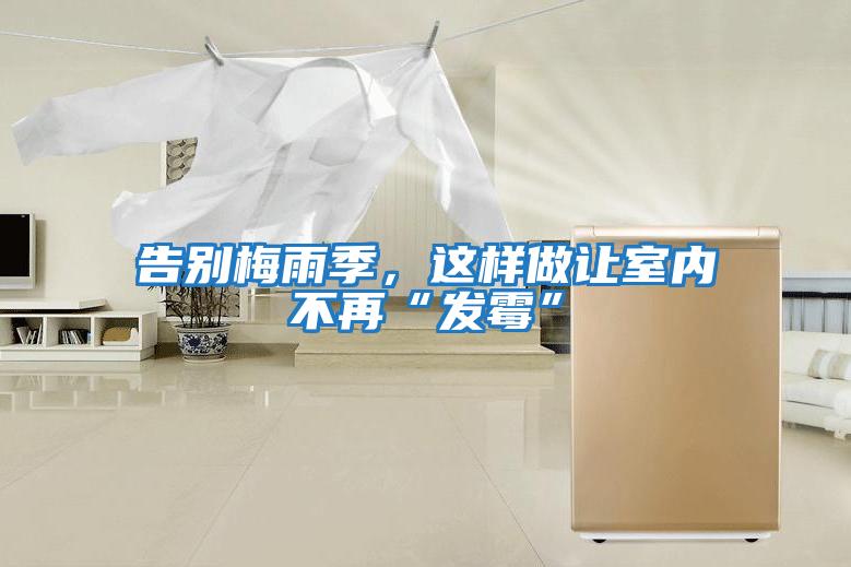 告別梅雨季,這樣做讓室內不再“發霉”