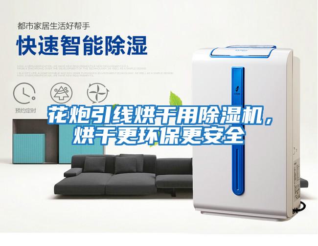 花炮引線烘干用除濕機，烘干更環保更安全